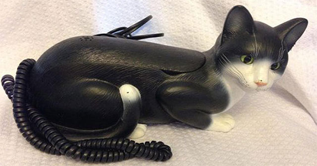 Turn cats into phones, the truth is incredible but true in history