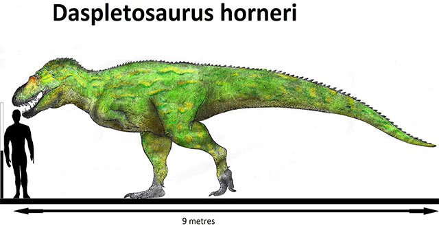 Tyrannosaurus Tyrannosaurus relies on her sixth sense to 'love'?