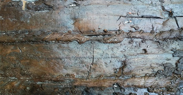 Unexpectedly discovered boat 'stitching' 2,000 years old underground