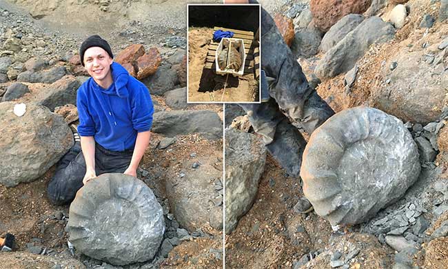 Walking on the sea, two students pulled strange creatures from the 'tomb' 115 million years