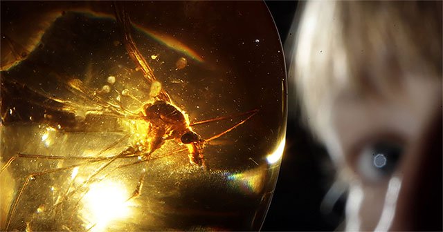 What about the 'Jurassic park' experiment if replacing dinosaurs with mosquitoes?