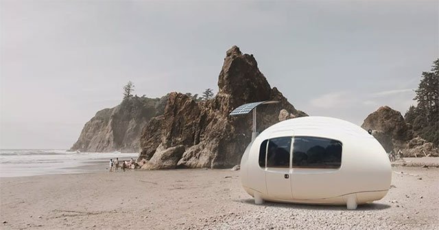 What's in an egg-shaped 6m square house that costs $ 56,000?