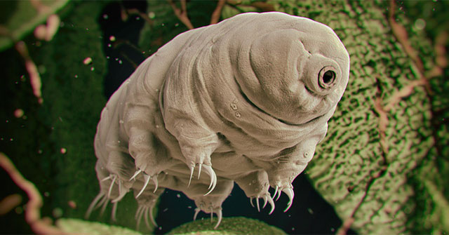 Why do humans need to breed with 'immortal creatures' if they want to live on Mars?