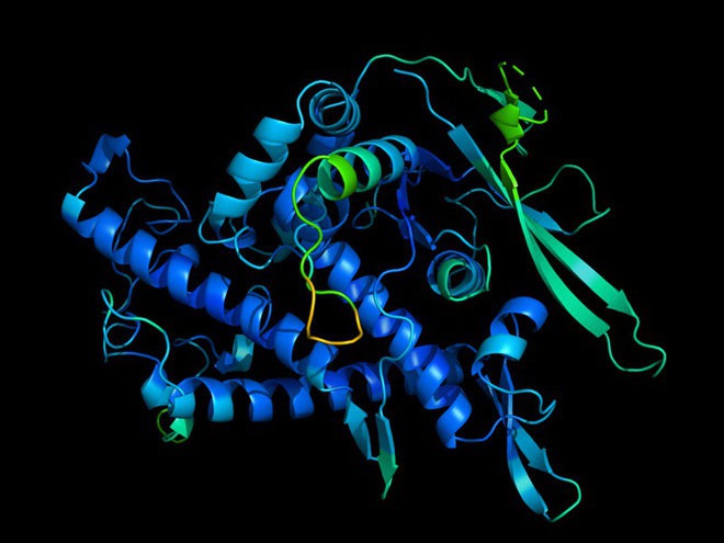10 most outstanding international scientific milestones in 2021 Picture 7