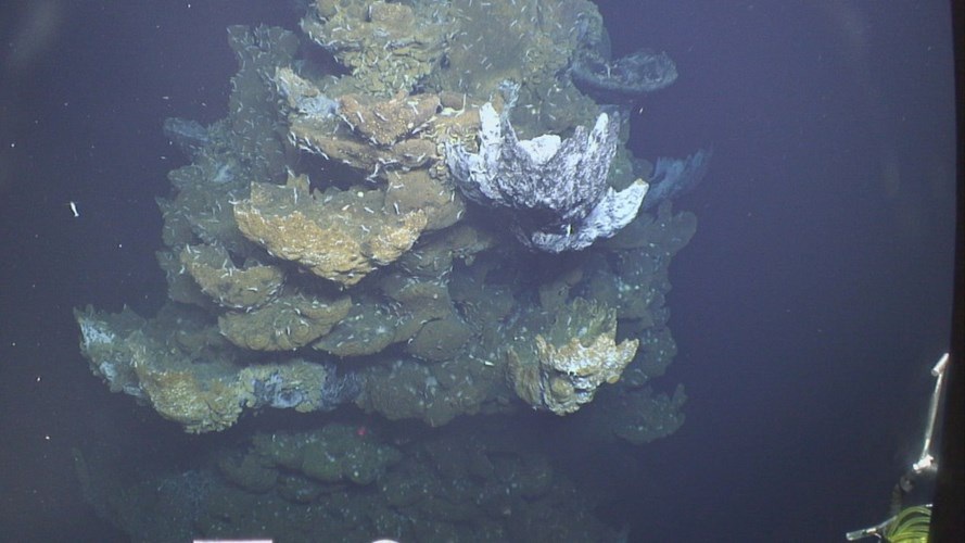 10 most shocking mysteries about the ocean floor