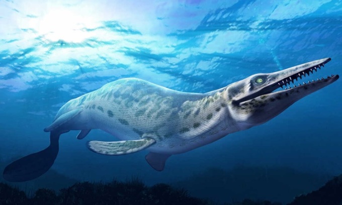 Picture 1 of 100 million year old fossil of cannibalistic mosasaur