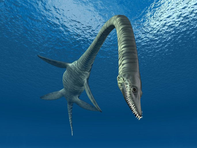 Picture 2 of 10m long, 100 million year old snake-headed monster appears in Australia