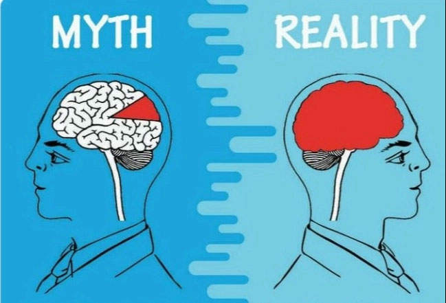 Picture 4 of 13 extremely popular questions about the world that everyone is confident they know everything about, but are actually completely wrong.