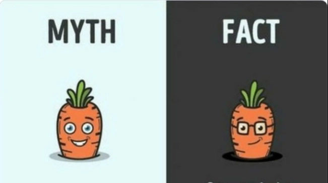 Picture 6 of 13 extremely popular questions about the world that everyone is confident they know everything about, but are actually completely wrong.