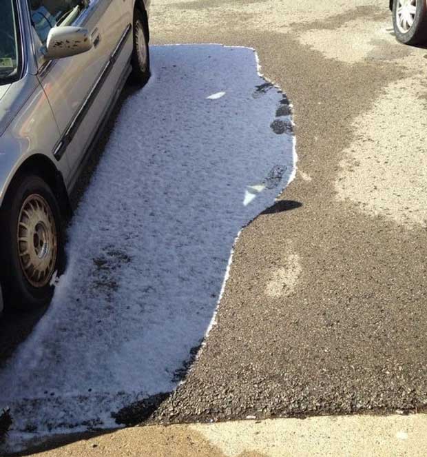 16 interesting moments that few people have the opportunity to admire, must be captured to spread excitement Picture 11
