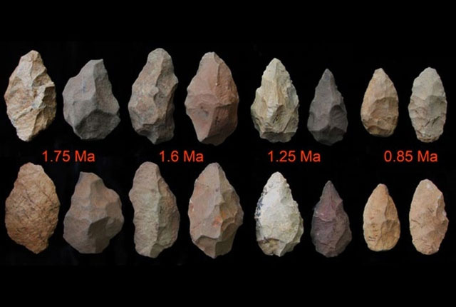 Picture 4 of 1.6 million year old archaeological evidence changes people's view of language history