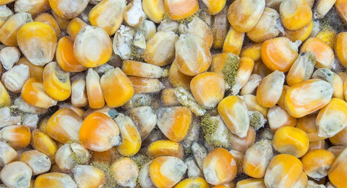 Picture 1 of 2 WHO-recognized level 1 carcinogens may be present in many foods you eat every day
