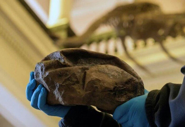 Picture 6 of 3 more amazing discoveries that scientists have not been able to explain