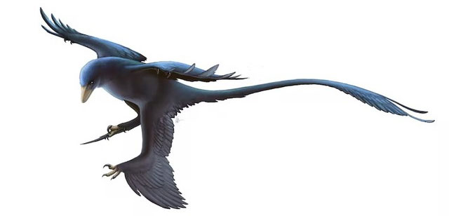 Picture 6 of 5 Creatures That Evolved Into Crabs - Has Mother Nature Run Out of Shape Ideas?