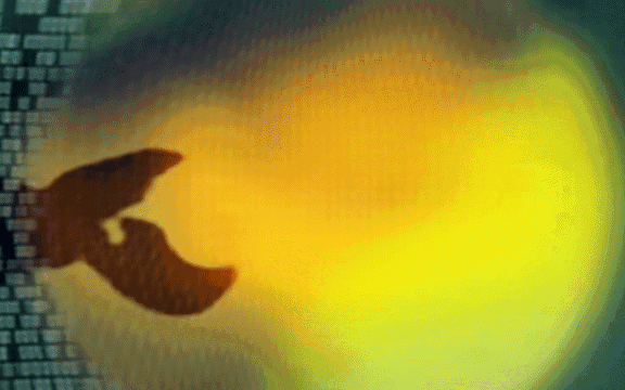 Picture 3 of 50g Creature Makes Sound Louder Than a Jet Engine: What's the Secret?