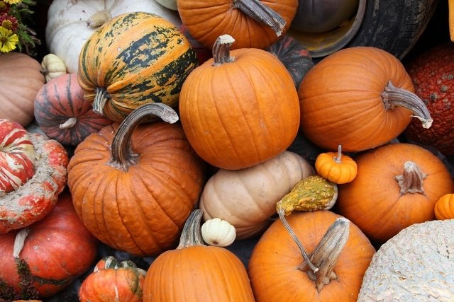 Picture 3 of 6 'discarded' foods that are suitable for skin care