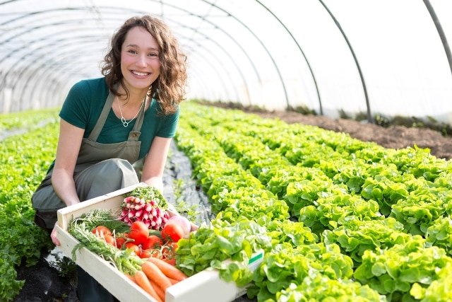 7 simple ways to build an eco-friendly diet Picture 1