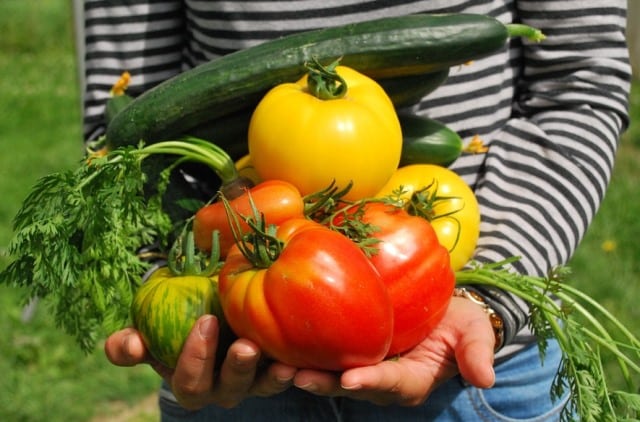 7 simple ways to build an eco-friendly diet Picture 2
