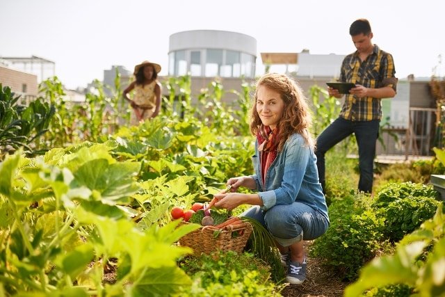 7 simple ways to build an eco-friendly diet Picture 3