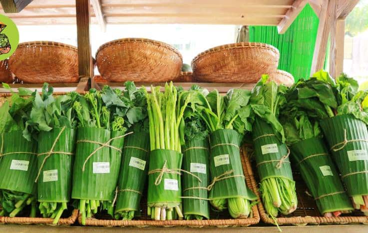 7 simple ways to build an eco-friendly diet Picture 6