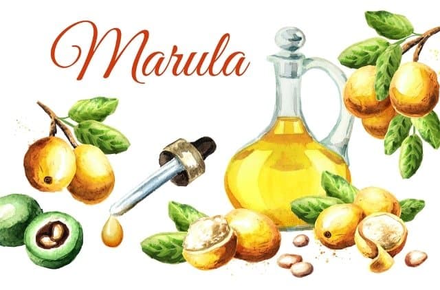 8 cheap natural oils to help you own silky smooth skin Picture 4