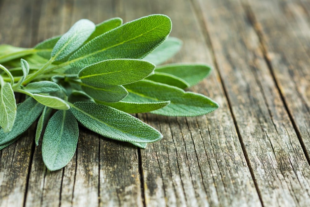Picture 6 of 8 foods that are good for both your body and mind