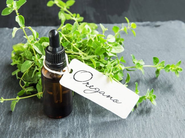 Picture 3 of 8 natural ways to help you detox your lungs