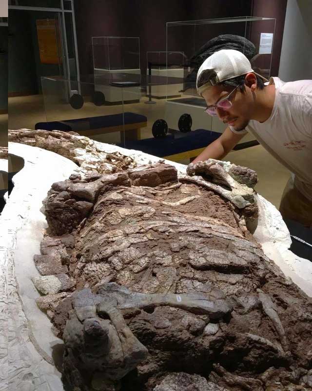 Picture 2 of A 218-million-year-old beast with an eagle's head and a crocodile's body appears in America