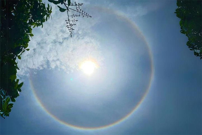 Picture 4 of A beautiful halo appears in the sky of Dong Nai