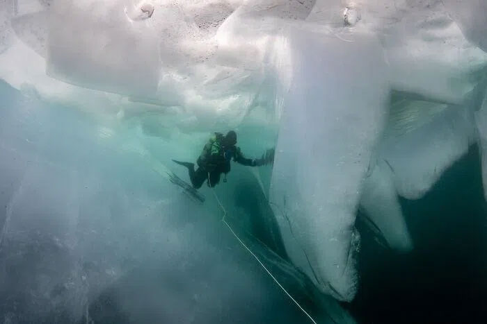 Picture 3 of A series of extremely rare pictures of seals at the deepest lake in the world
