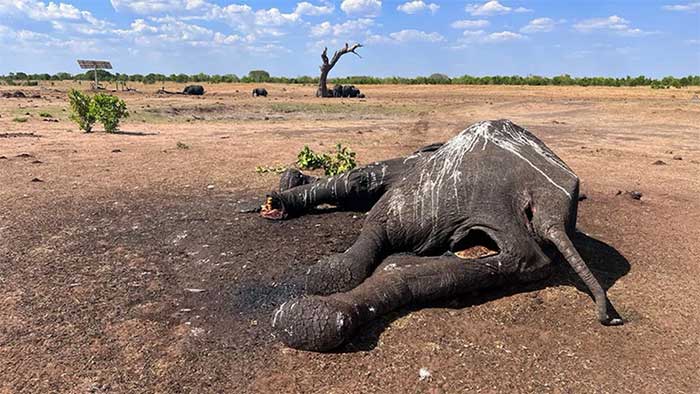 Picture 14 of A series of photos of natural disasters devastating the world in 2023