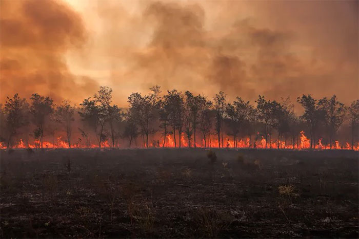 Picture 7 of A series of photos of natural disasters devastating the world in 2023