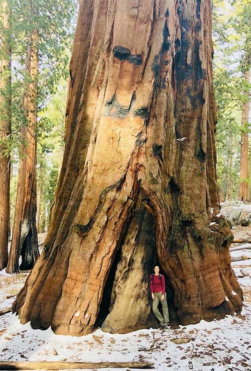 Picture 16 of A series of photos revealing the wonders of the world that you may never expect.