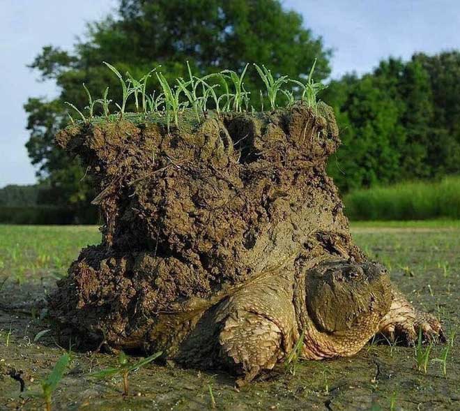 Picture 9 of A series of photos revealing the wonders of the world that you may never expect.