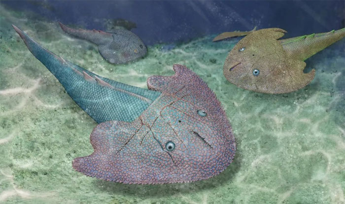 Picture 1 of A series of surprises about 'monster fish' existed in Vietnam 415 million years ago
