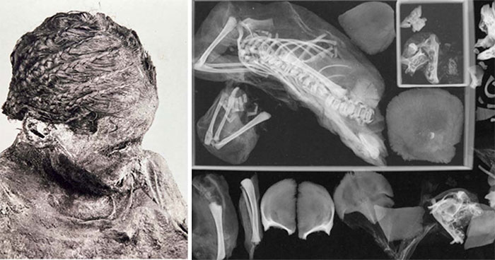 Picture 1 of Accidentally taking a CT scan, an expert discovered the secret of 3 mummies lying inside each other, causing curiosity from 115 years ago
