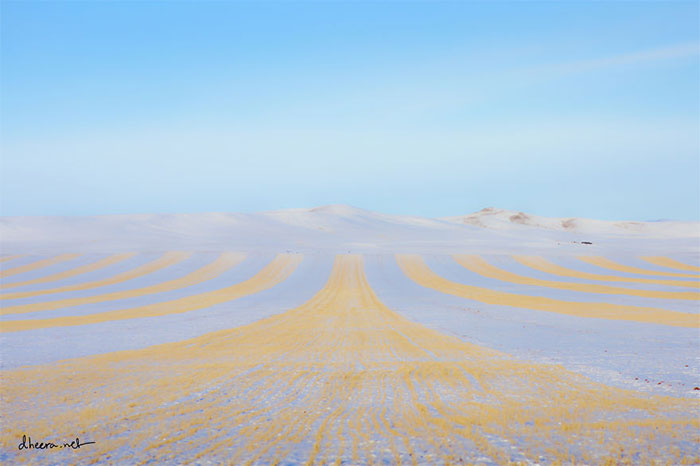 Picture 8 of Admire the beautiful scenery of Mongolian winter