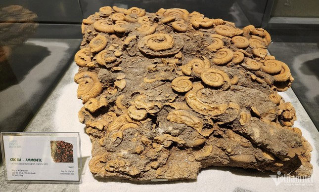 Picture 3 of Admire the oldest stone in Vietnam dating back nearly 3 billion years