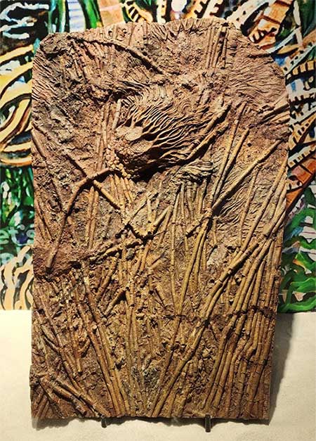 Picture 5 of Admire the oldest stone in Vietnam dating back nearly 3 billion years