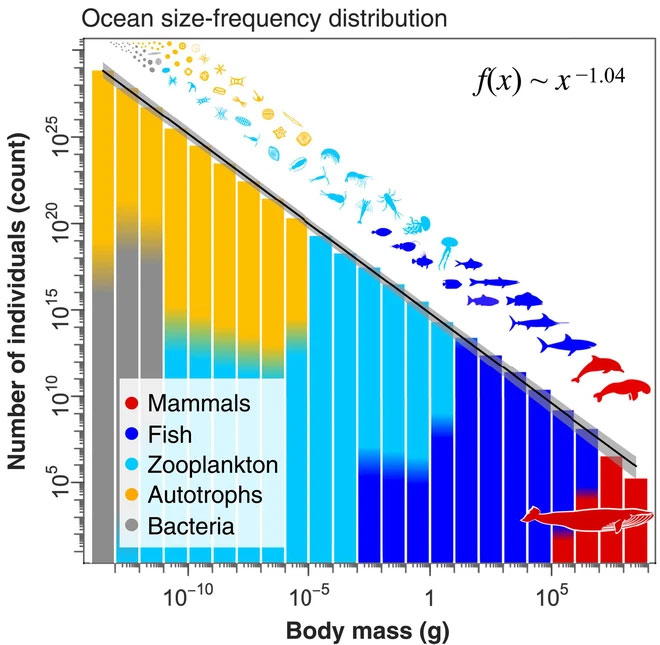 Picture 5 of After 170 years of industrialization, humans have broken a law that has existed for billions of years in the ocean