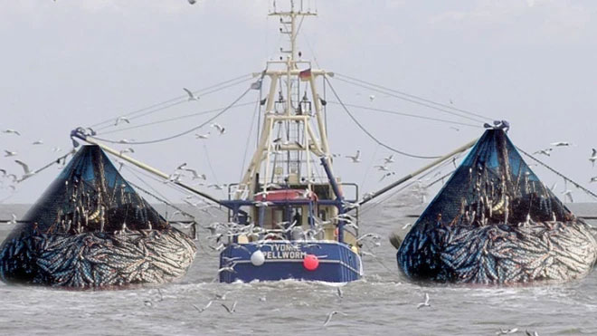 Picture 7 of After 170 years of industrialization, humans have broken a law that has existed for billions of years in the ocean