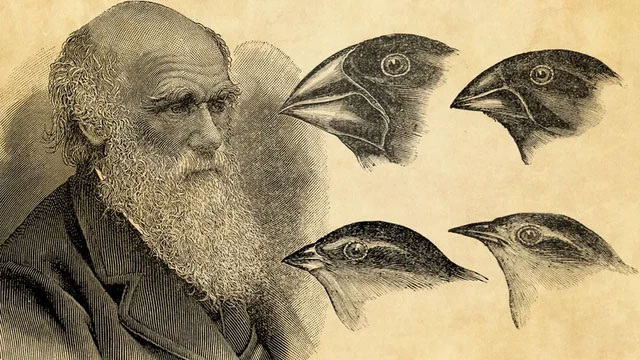 After 20 years of wandering, Charles Darwin's notebook was mysteriously returned to the Cambridge University Library Picture 1