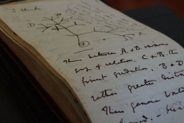 After 20 years of wandering, Charles Darwin's notebook was mysteriously returned to the Cambridge University Library Picture 3