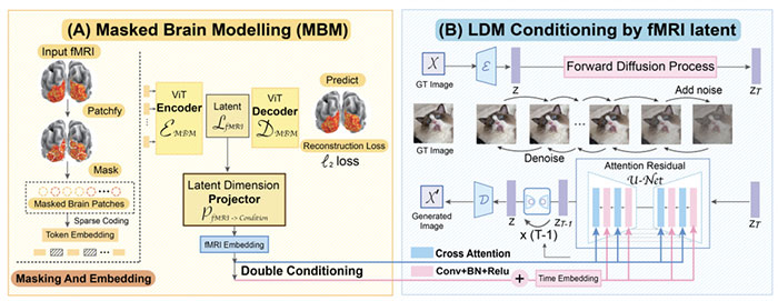 Picture 8 of AI has been able to accurately reproduce more than 80% of images in the human brain.