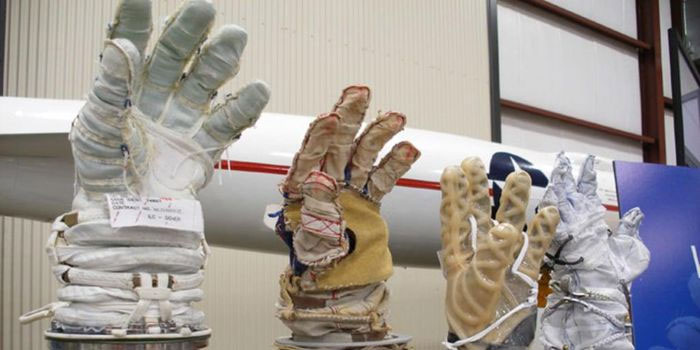 AI system checks astronaut's gloves for damage in real time Picture 3