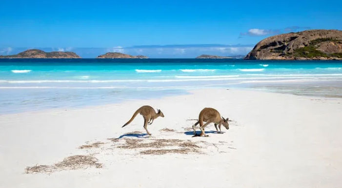 Picture 1 of Alarm about seawater encroachment on sand dunes in Australia
