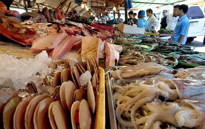 Algae that causes memory loss discovered in Philippine waters Picture 1