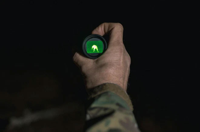 Picture 9 of 'Alien hunt' in a town surrounded by armadillos in America