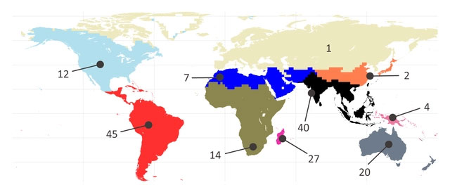 Among the termites, there is a genus that has been adventuring at sea for millions of years Picture 2
