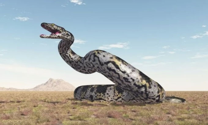 An Indian research team found a fossil that could be the largest snake on the planet Picture 1